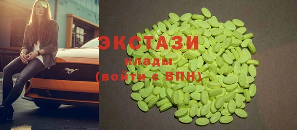 гашик Дмитров