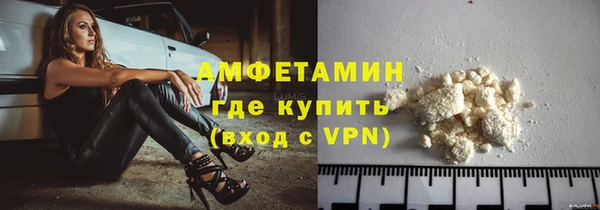 гашик Дмитров