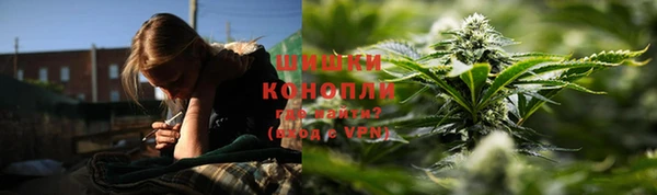 гашик Дмитров