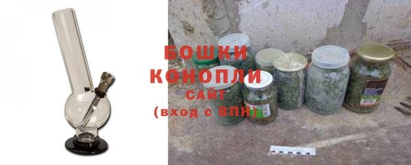 гашик Дмитров