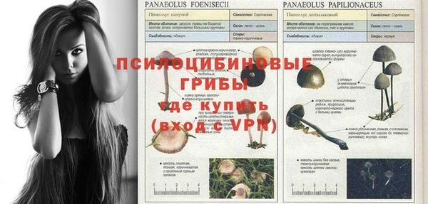 наркотики Дмитриев