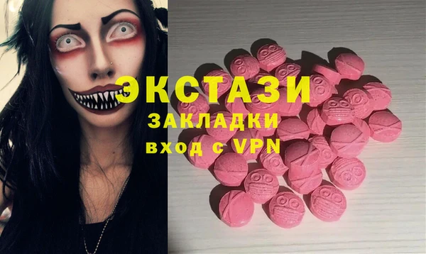 гашик Дмитров