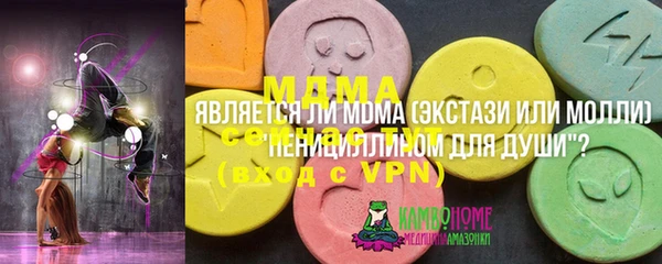 гашик Дмитров