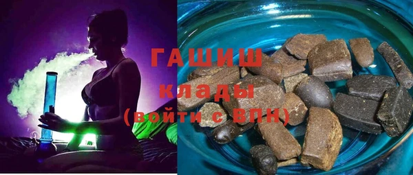 гашик Дмитров