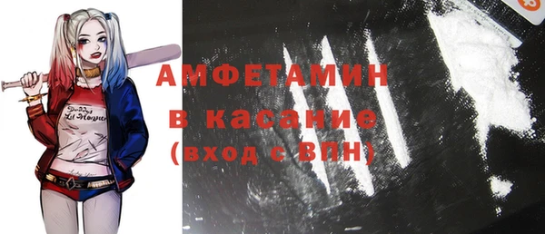 гашик Дмитров