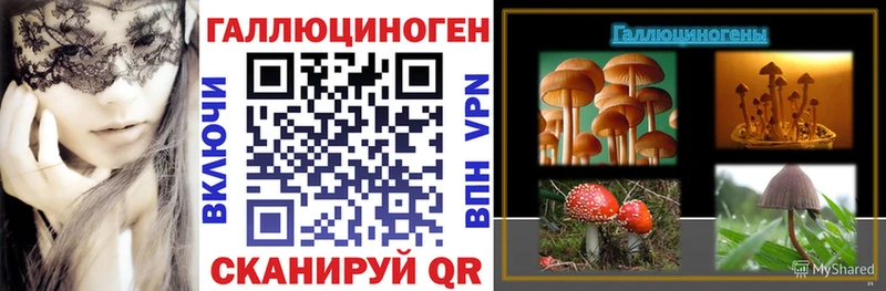 где продают наркотики Ковдор Псилоцибиновые грибы Magic Shrooms
